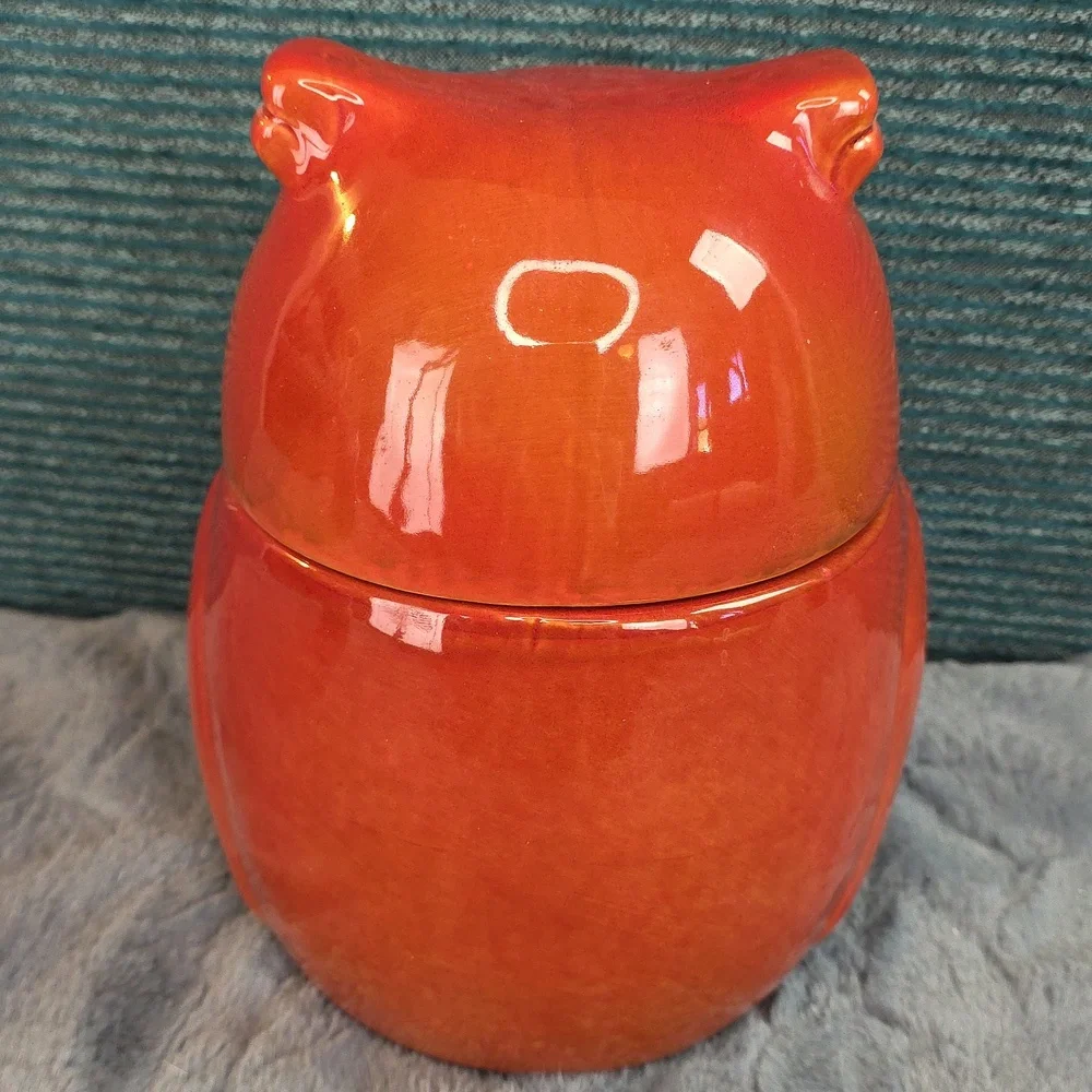 Adorable Owl Ceramic Canister/Cookie Jar Gibson Home